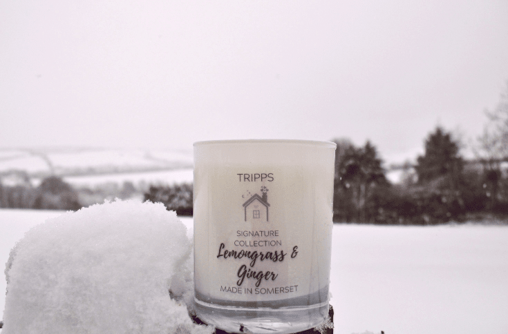 snow lemongrass and ginger handmade handpoured candle made in exmoor somerset